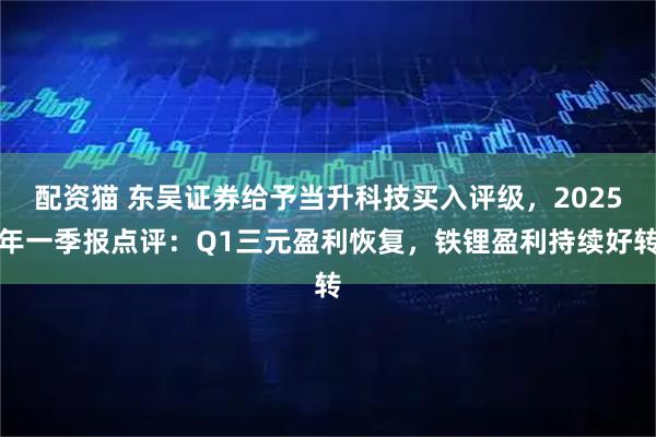 配资猫 东吴证券给予当升科技买入评级，2025年一季报点评：Q1三元盈利恢复，铁锂盈利持续好转